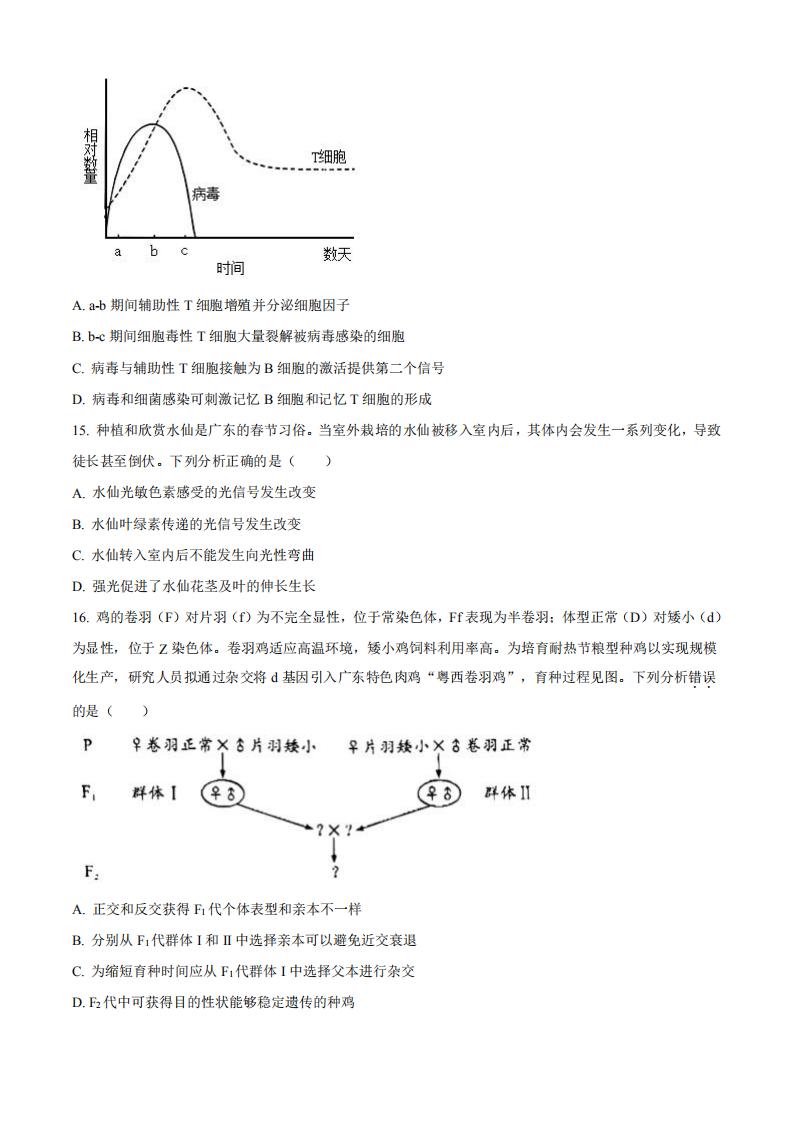 2023㶫߿